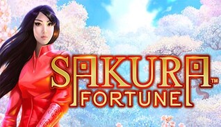 Логотип Sakura Fortune